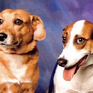 Meet your Posher, Selina